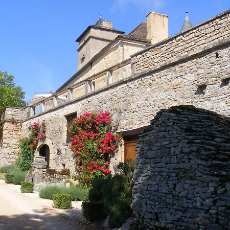 Chateau De Laumiere Promilhanes Buitenkant foto