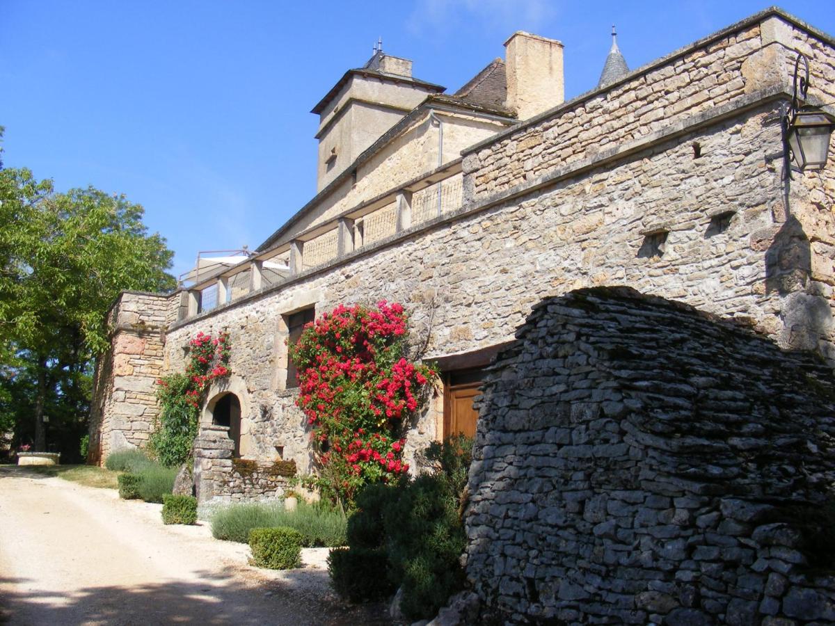 Chateau De Laumiere Promilhanes Buitenkant foto